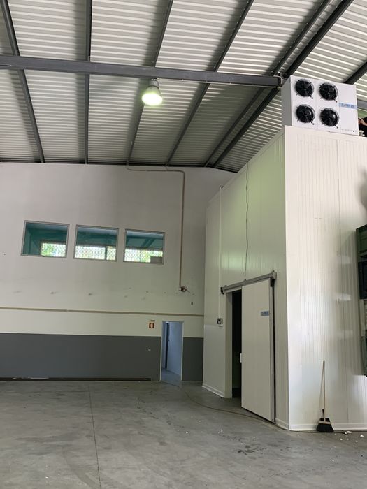Câmaras Frigoríficas Industriais - Conservação e Congelação - FRILUX