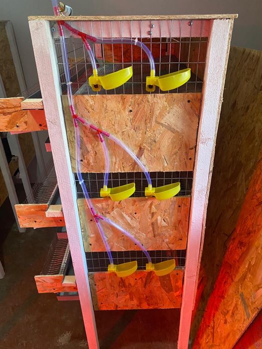 Клітки та Брудера для перепілок 3-х ярусні з піддонами