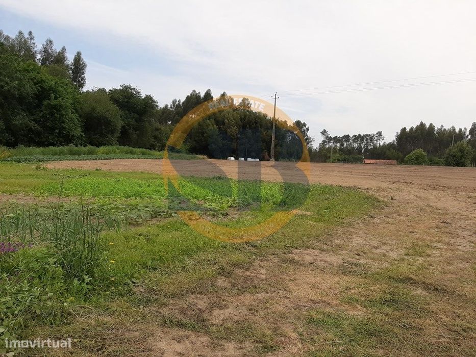 Terreno Rustico Válega Ovar