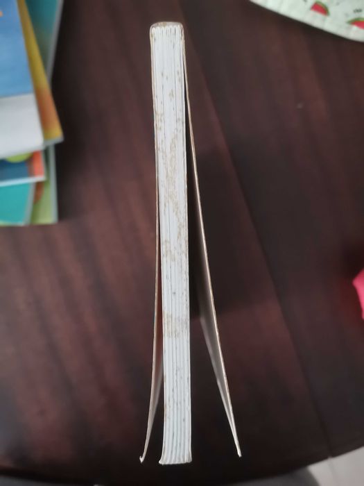 Livro Olá! Está ai Alguém?