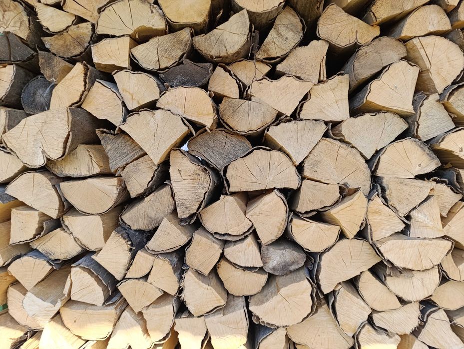 suche drewno kominkowe bukowe 20 kg za 30 zł 1,5 za kg transport