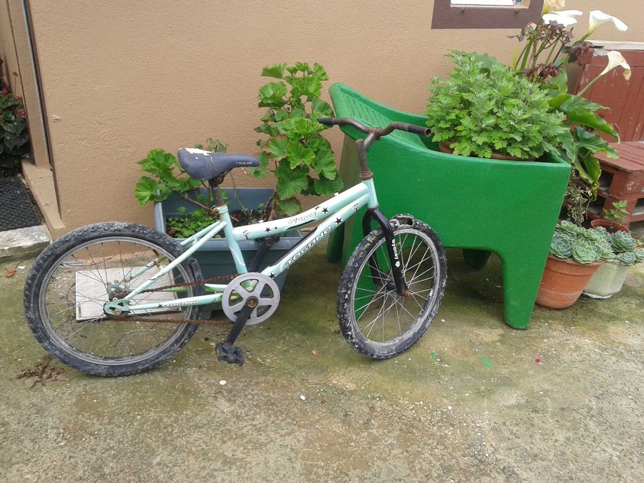 Bicicleta roda 20" para decoração de jardim