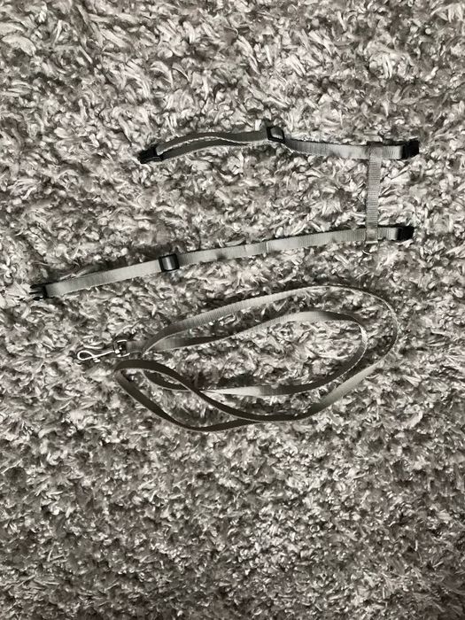 Повідок для кота