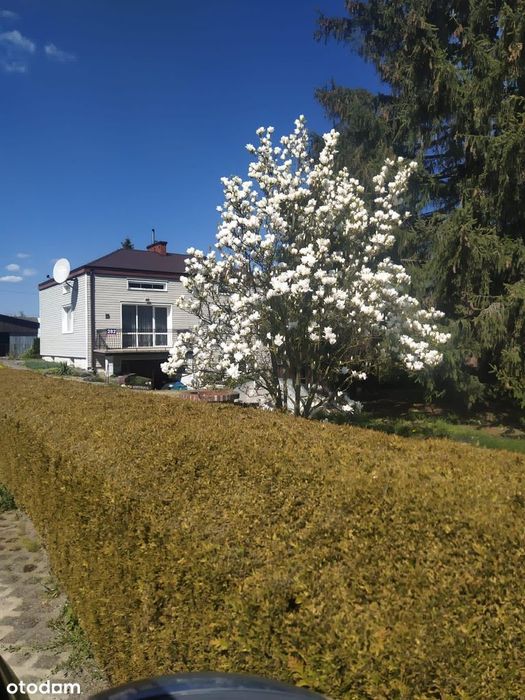 Klimatyczny dom z działką 50 arów – Klementowice