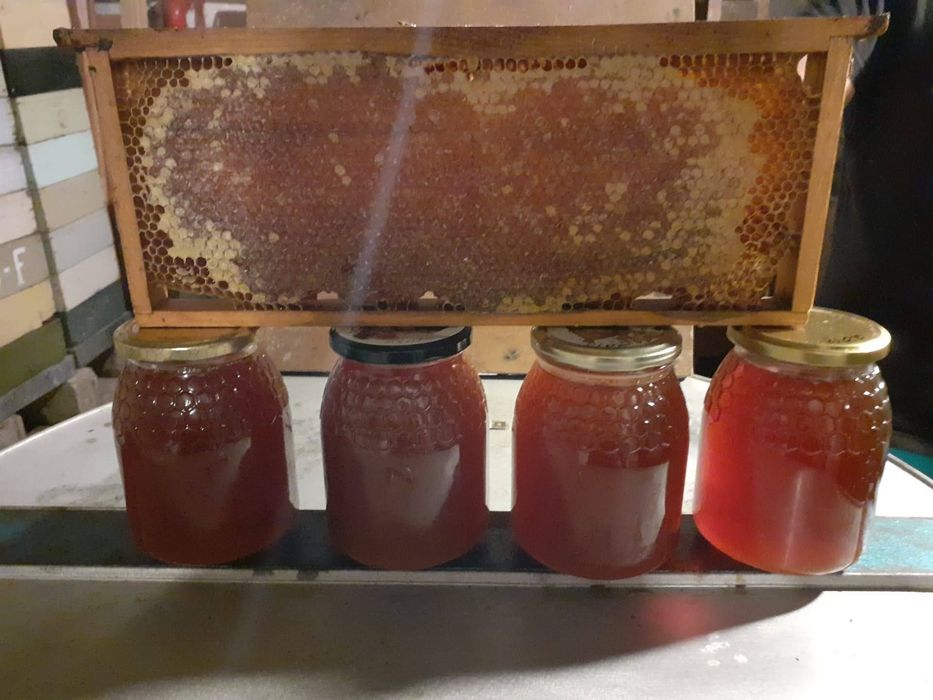 Kilo 8 euros...Mel multifloral.. castanheiro.. rosmaninho..esteva urze