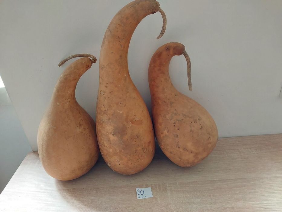 Tykwy kpl.3 sztuki