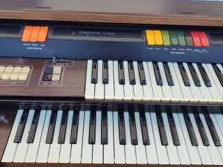 Órgão Musical Vintage