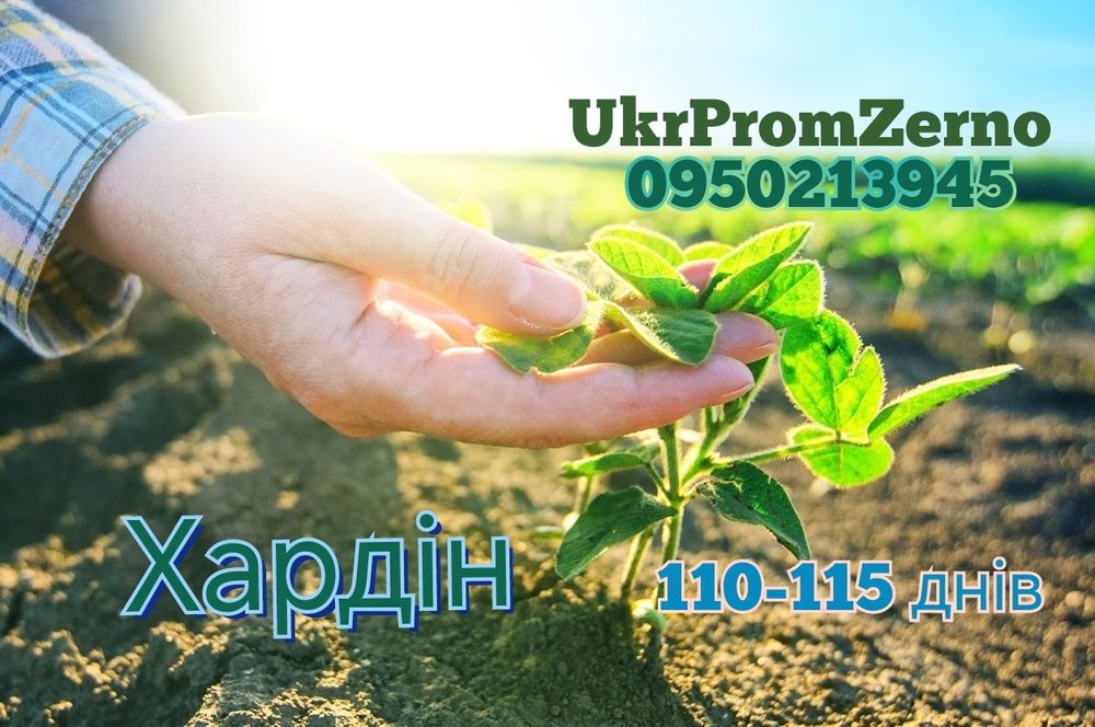 Посевная соя на посів