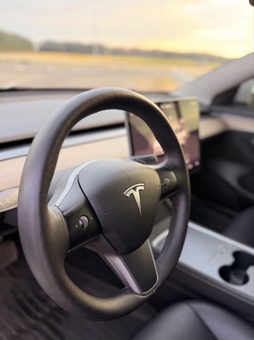 Tesla Model 3 Long Range 82.5 AWD