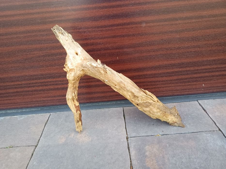Średni, naturalny konar/kłoda do terrarium