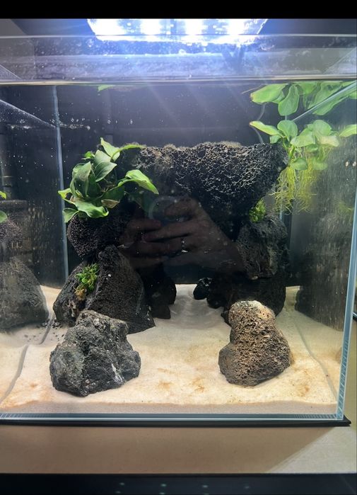 Aquario 30x30x30 extra claro