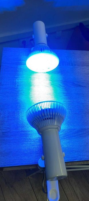Прокат комплекта(2шт) LED фотоламп на прищепке для лечения желтушки