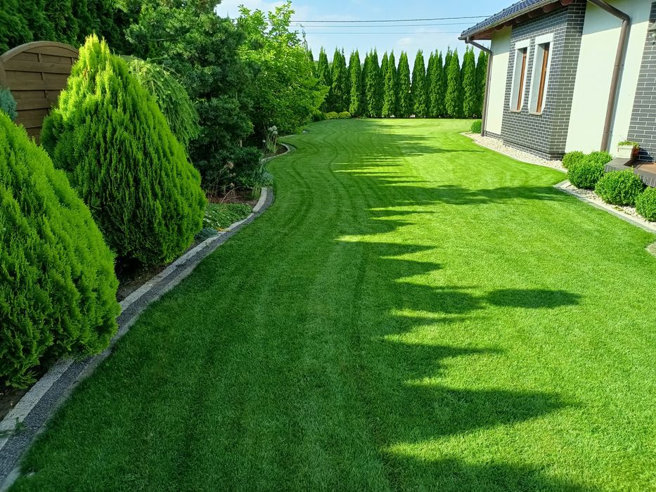 Zakładanie trawników!Usługi glebogryzarką separacyjną!Nawadnianie !!