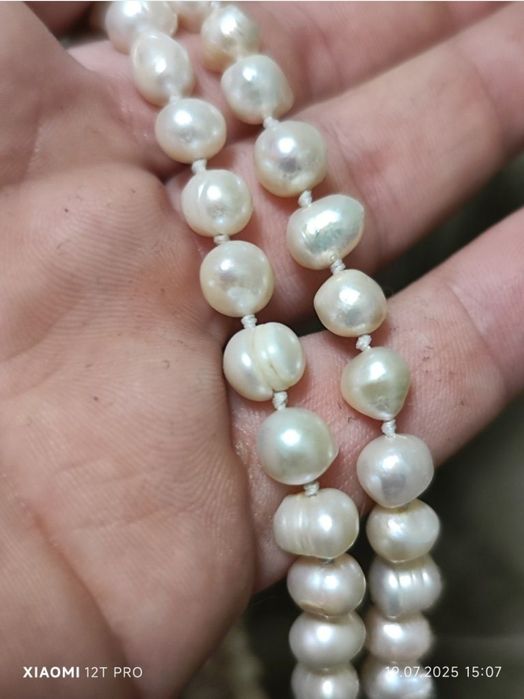 Продам сувенир для женщин  жемчуг