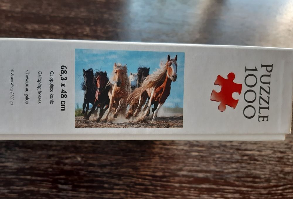 Konie puzzle Trefl 1000