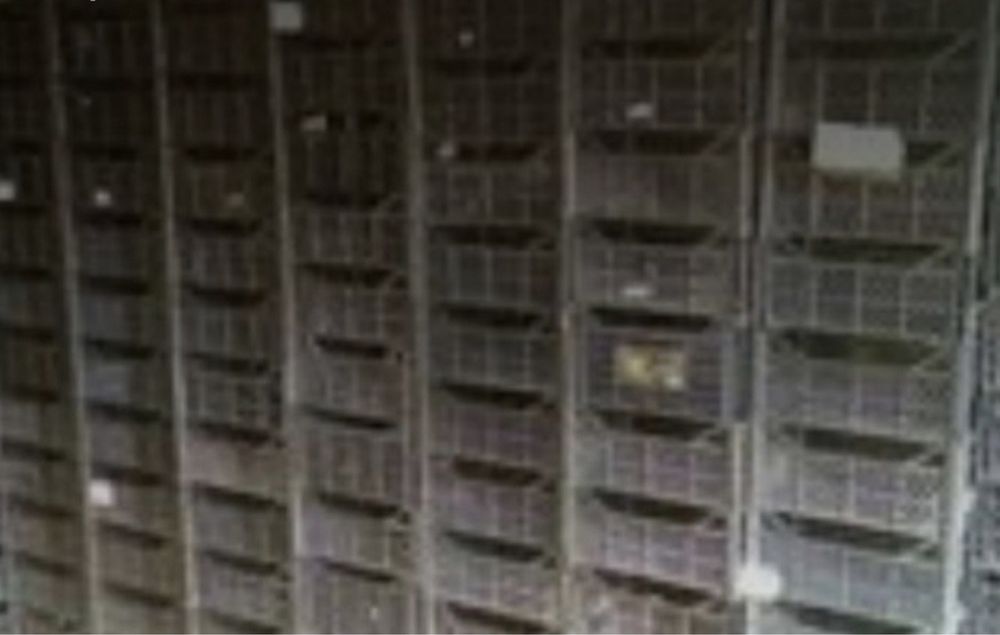 Пласмасові ящики