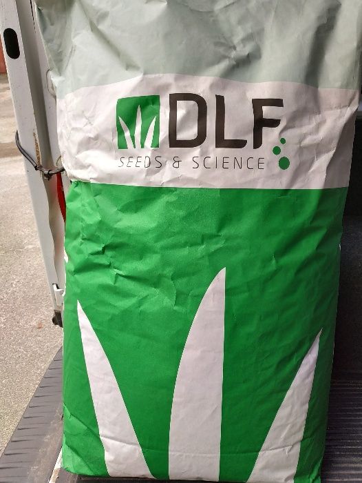 Насіння газонних трав Плейграунд,Сан,Робустіка DLF на вагу.Данія.(1кг)