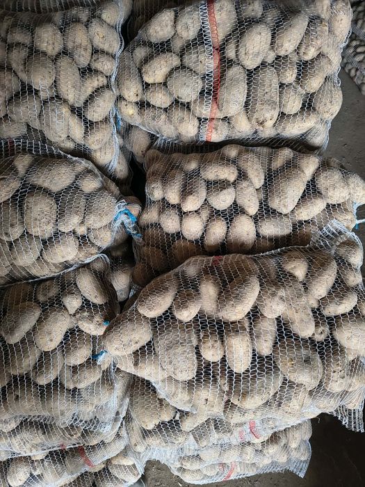 Ziemniaki catania natalia noja