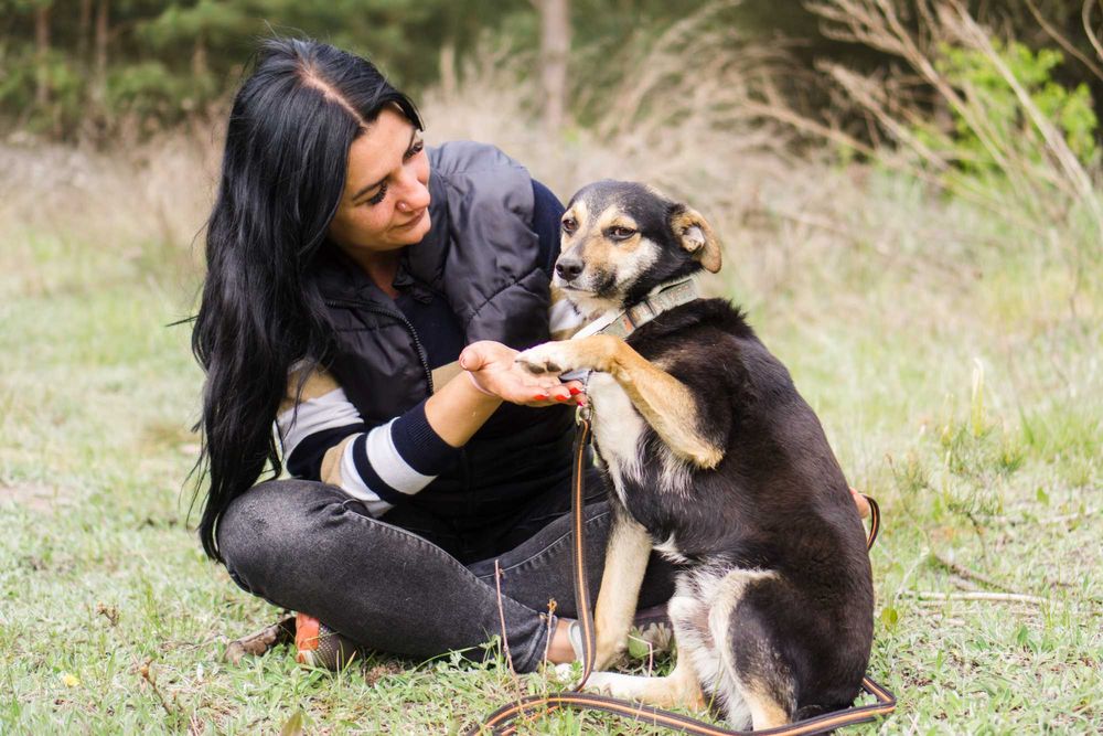 3 letni Miki szuka domu!