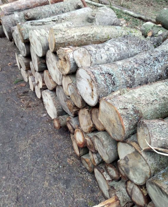 Sprzedam drewno opałowe liściaste