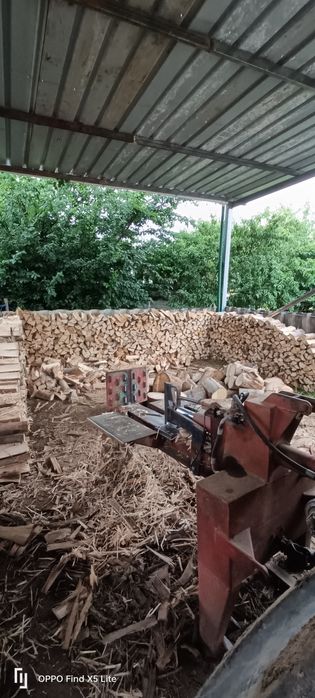 Lenha eucalipto com arrumação