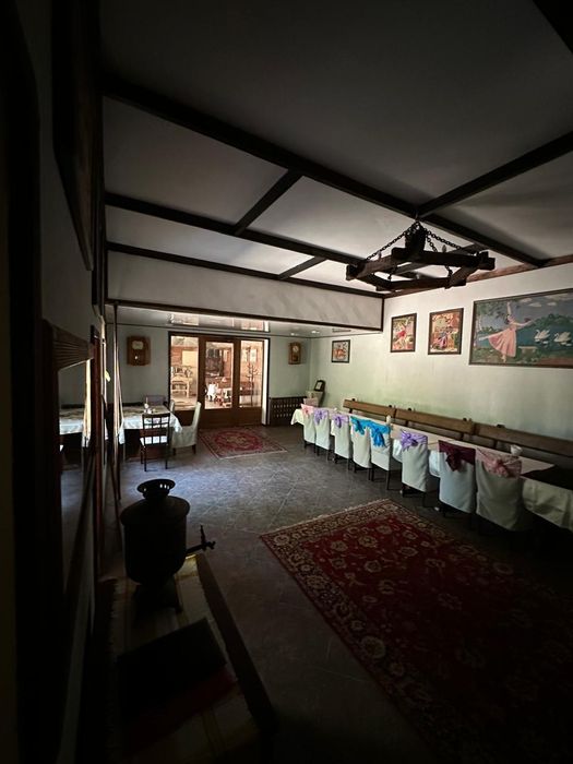 Продам будинок Центр з діючим кафе