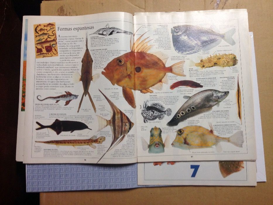 Enciclopédias Visuais (coleções fascículos)