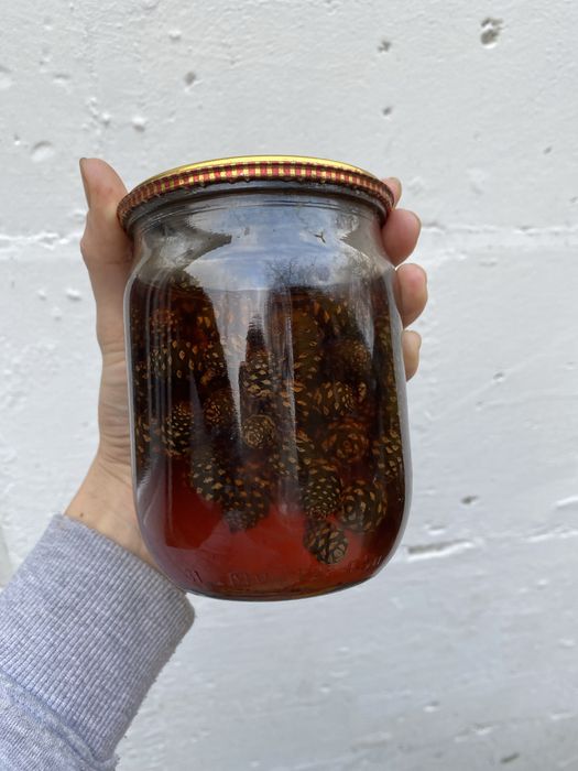 Ліки із соснових шишок мед, варення