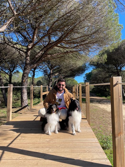 PET SITTING em ambiente familiar