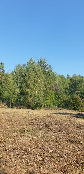 Ексклюзивна земельна ділянка в сосновому лісі, р-н Кавунових дач