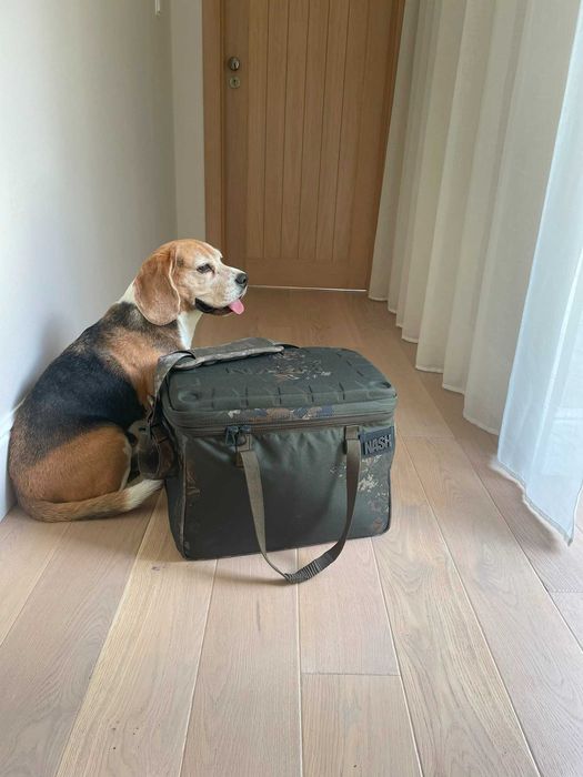 Torba izolowana lodówka Nash Big Freez Cool Bag Medium