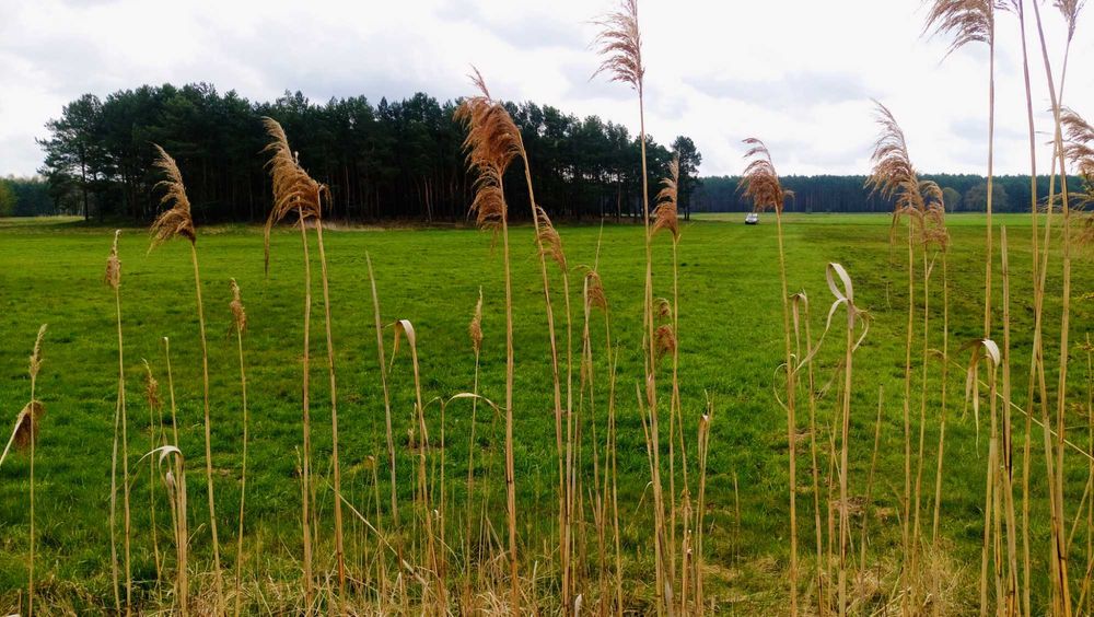 Wyjątkowa działka nad rzeką gmina Wolsztyn