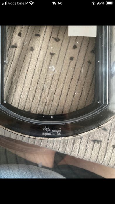 Aquario Bettacub Aquatlantis