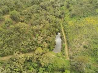 Monte Alentejano em Santana da Serra casa térrea com 78m2 prédio urbano e rústico de 8 hectares