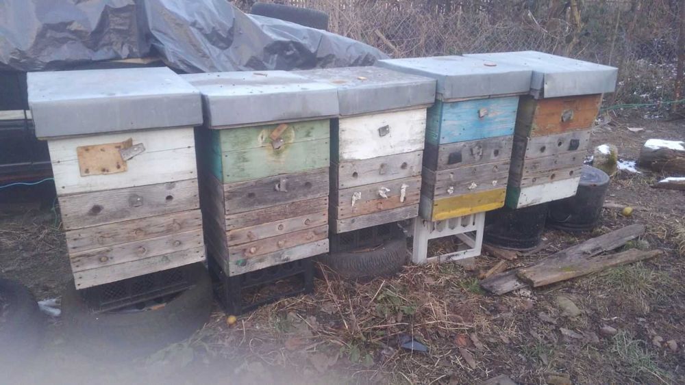 Вулики корпусніі дадан рута рамки утеплювач заставні  криша