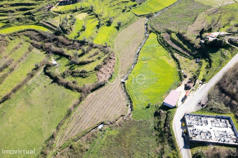 Quinta com vinha e árvores de fruto | Projeto ideal para turismo ru...