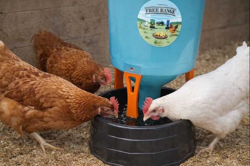 Poidło dla kur automatyczne z przezroczystym zasobnikiem 35 litrów