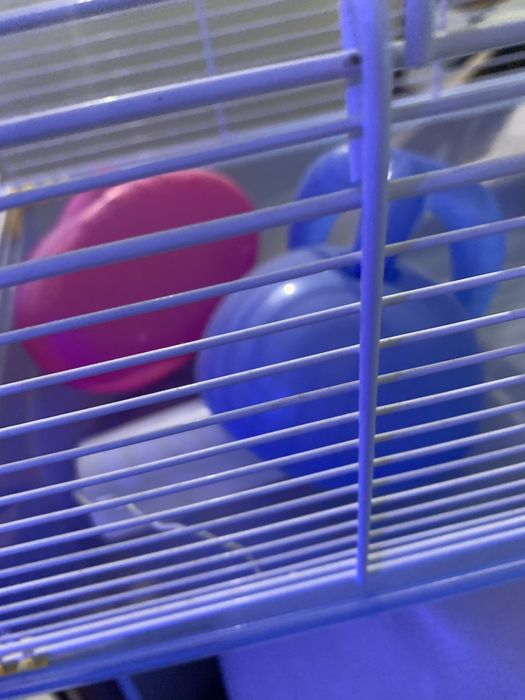 Gaiola para hamsters