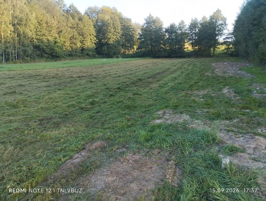 Działki nad jeziorem tarnobrzeskim