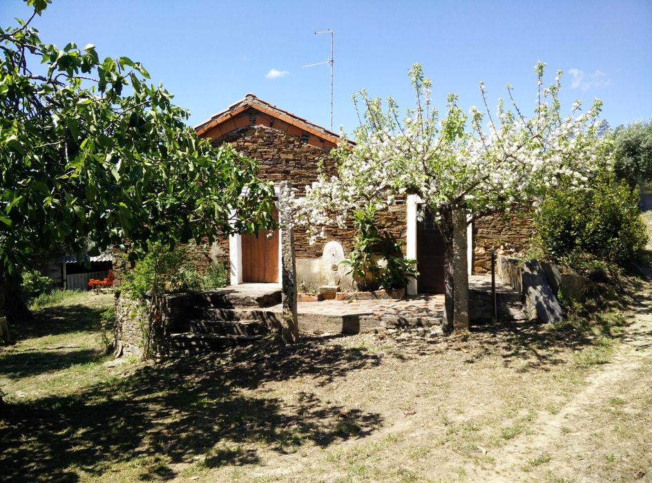 Terreno rústico com casa - Padrão Almaceda