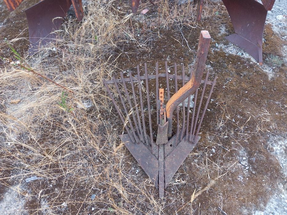 Charrua para vinha galucho