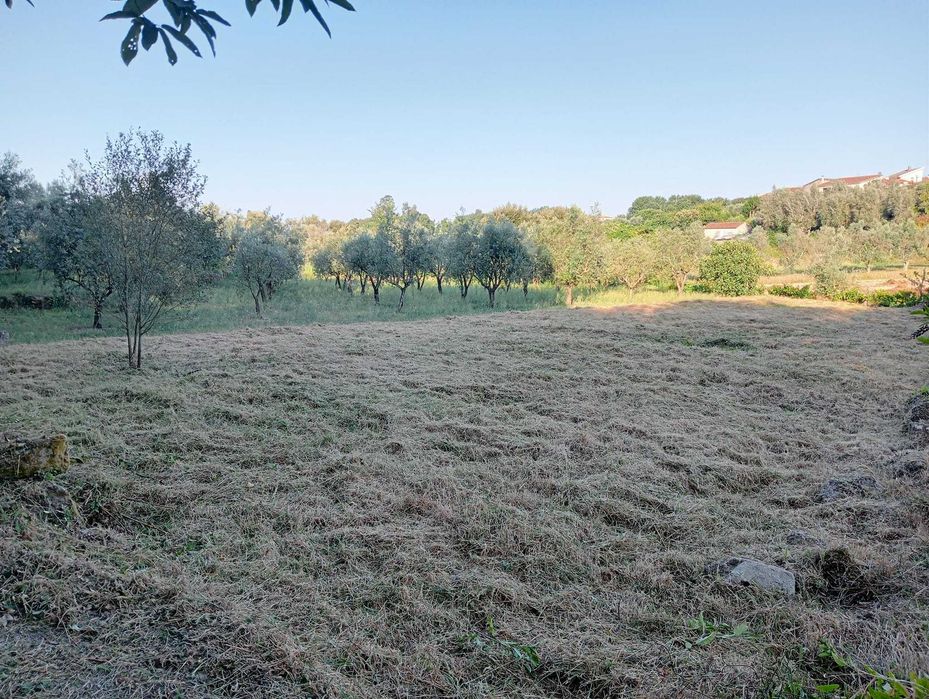 Limpeza de Terrenos – Evite Multas