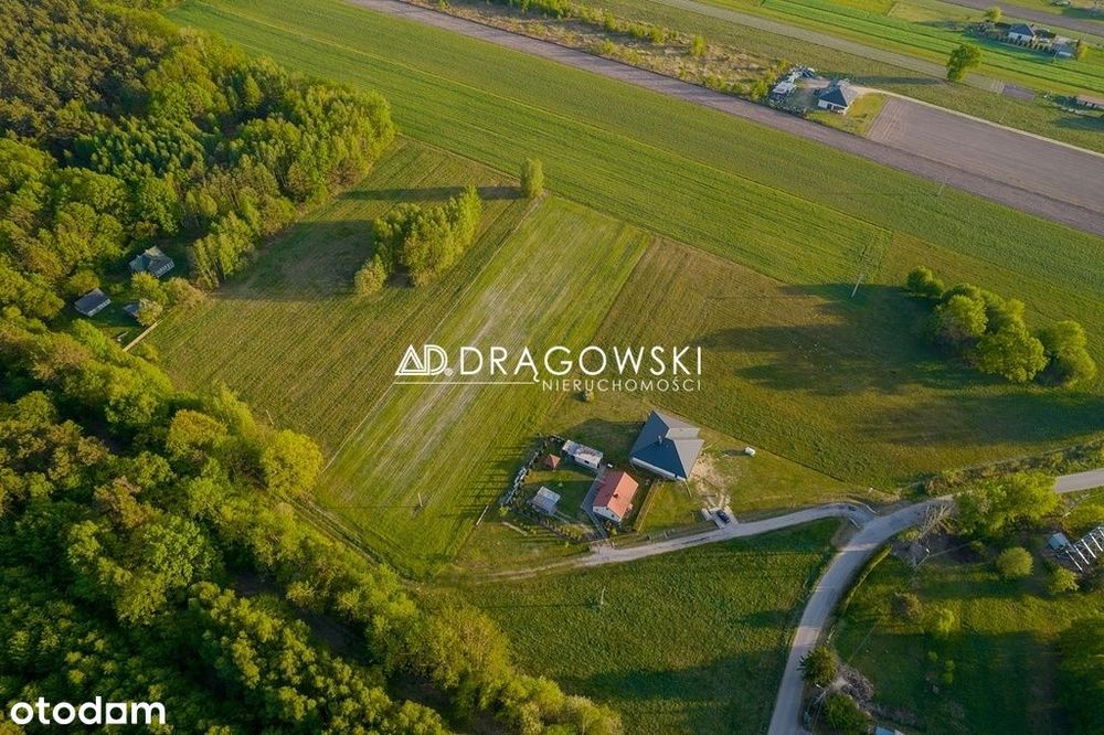 Działka 10.953 m² Sobolew pow. garwoliński - Widok 4