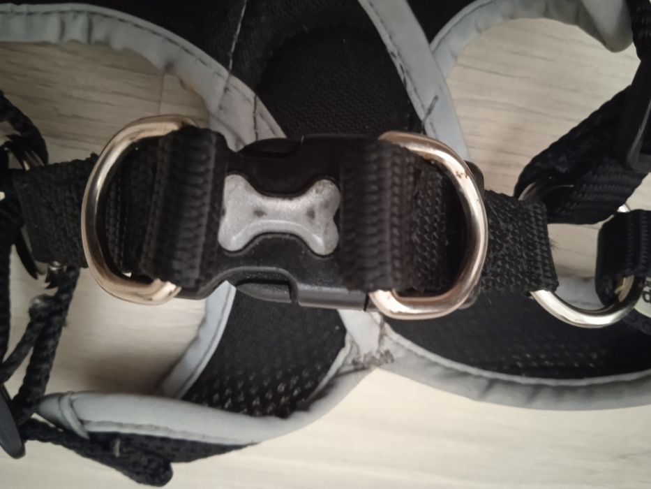 Ошийник Pets для маленької собачки