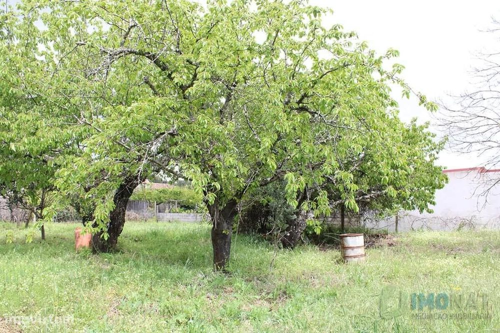 Lote de Terreno