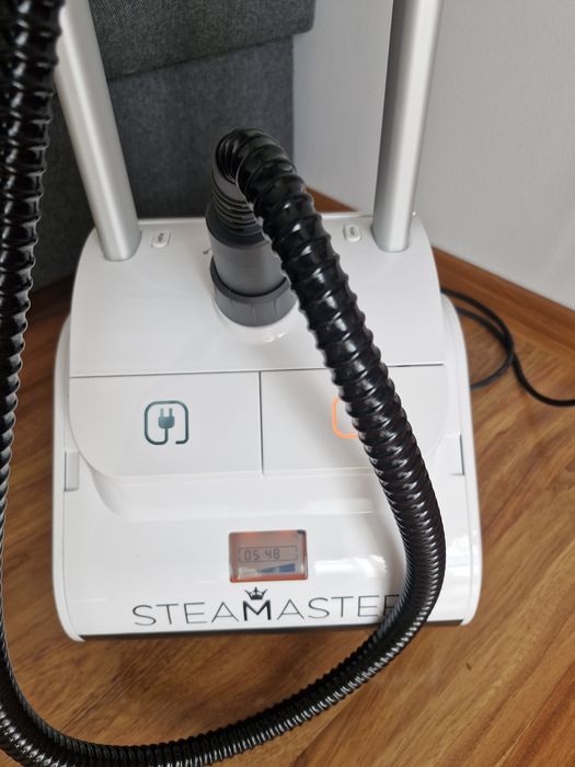 Steamaster BW-03 żelazko pionowe parownica