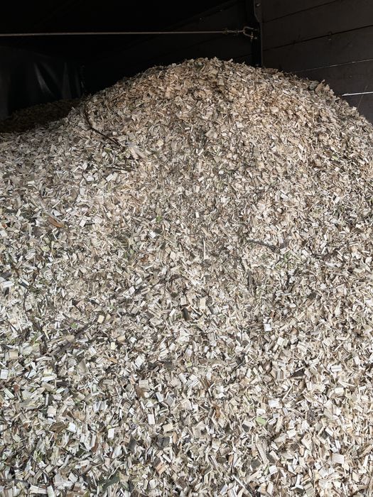 Zrębki  z transportem