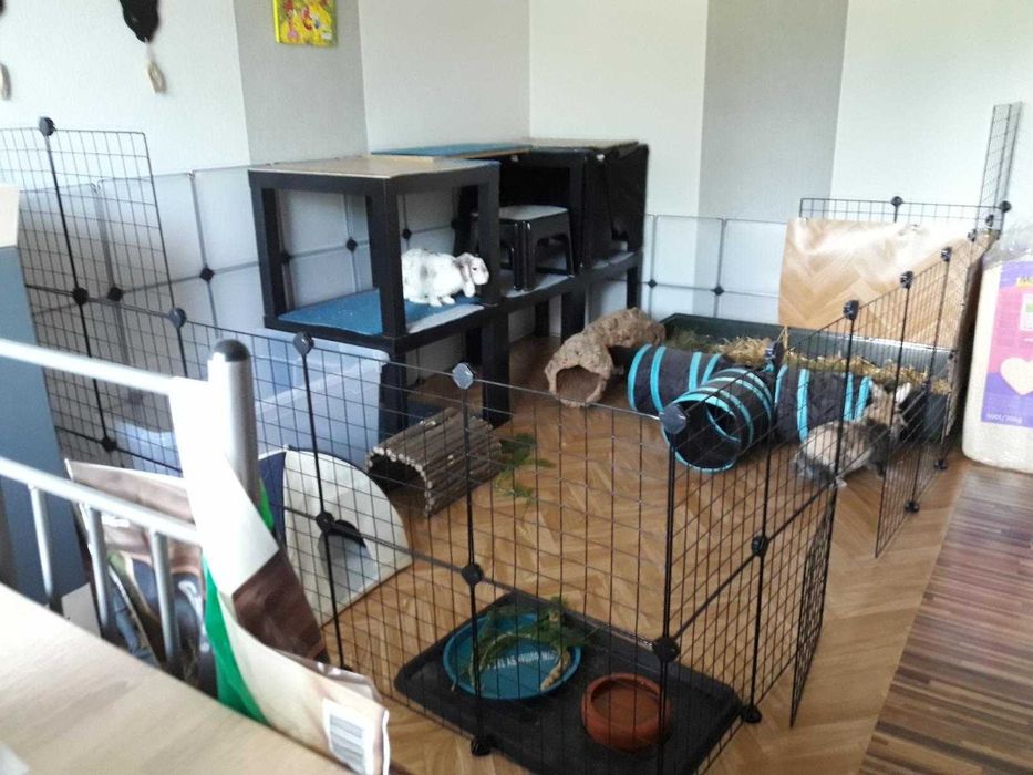 Wybieg NOWA Klatka Kojec dla KRÓLIKA Świnki Chomika PSA Modułowa DUŻA