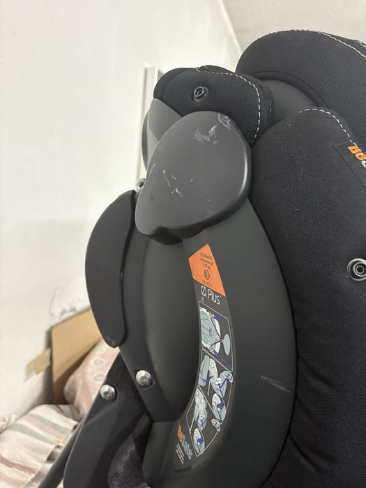 Cadeira se cintos para carro Bebe Safe