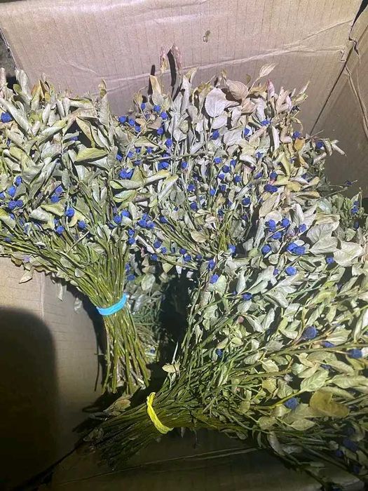 Черника з печі.    .